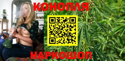 jwh Камышлов