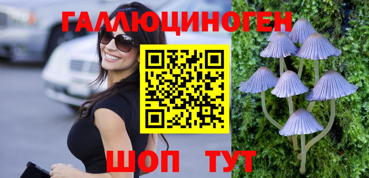 Псилоцибиновые грибы мухоморы  дарнет шоп  Псилоцибиновые грибы мухоморы  Корсаков  Вход с VPN 